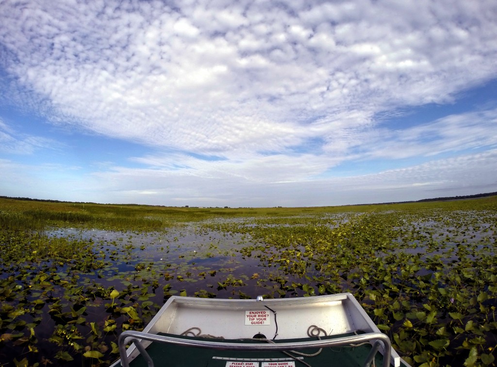 Airboating with Marsh Landing Adventures